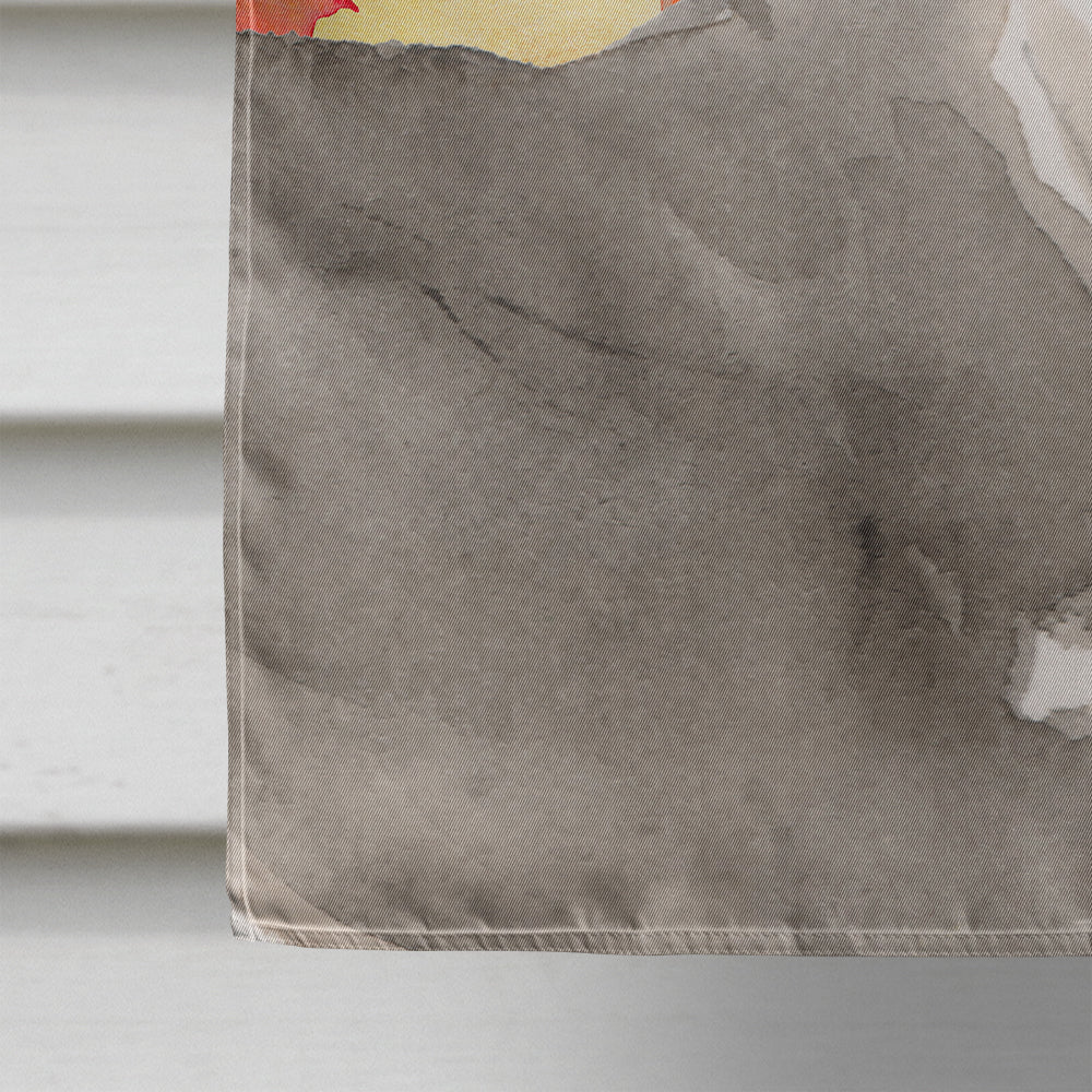 Italian Greyhound Fall House Flag 28x40 Porch Sleeve Pole Decorative Outside Yard Banner Artwork Wall Hanging, Polyester
