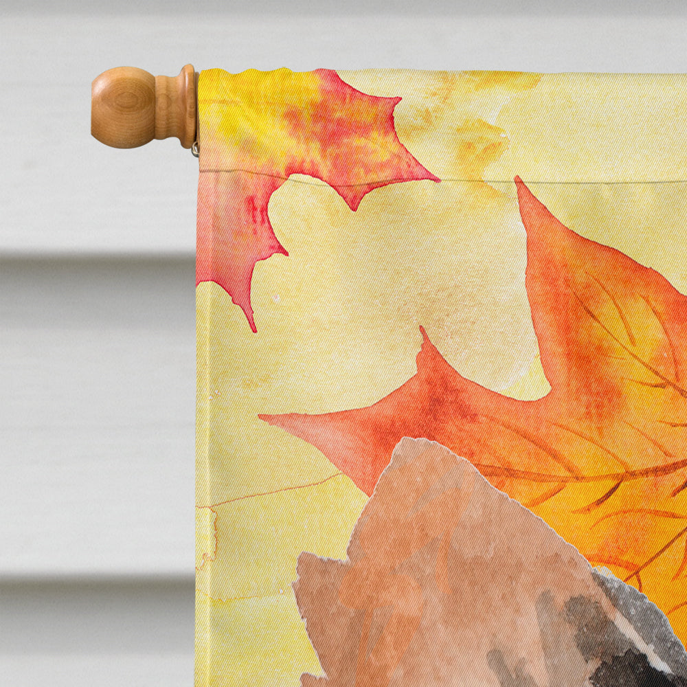 Long Haired Chihuahua Fall House Flag 28x40 Porch Sleeve Pole Decorative Outside Yard Banner Artwork Wall Hanging, Polyester