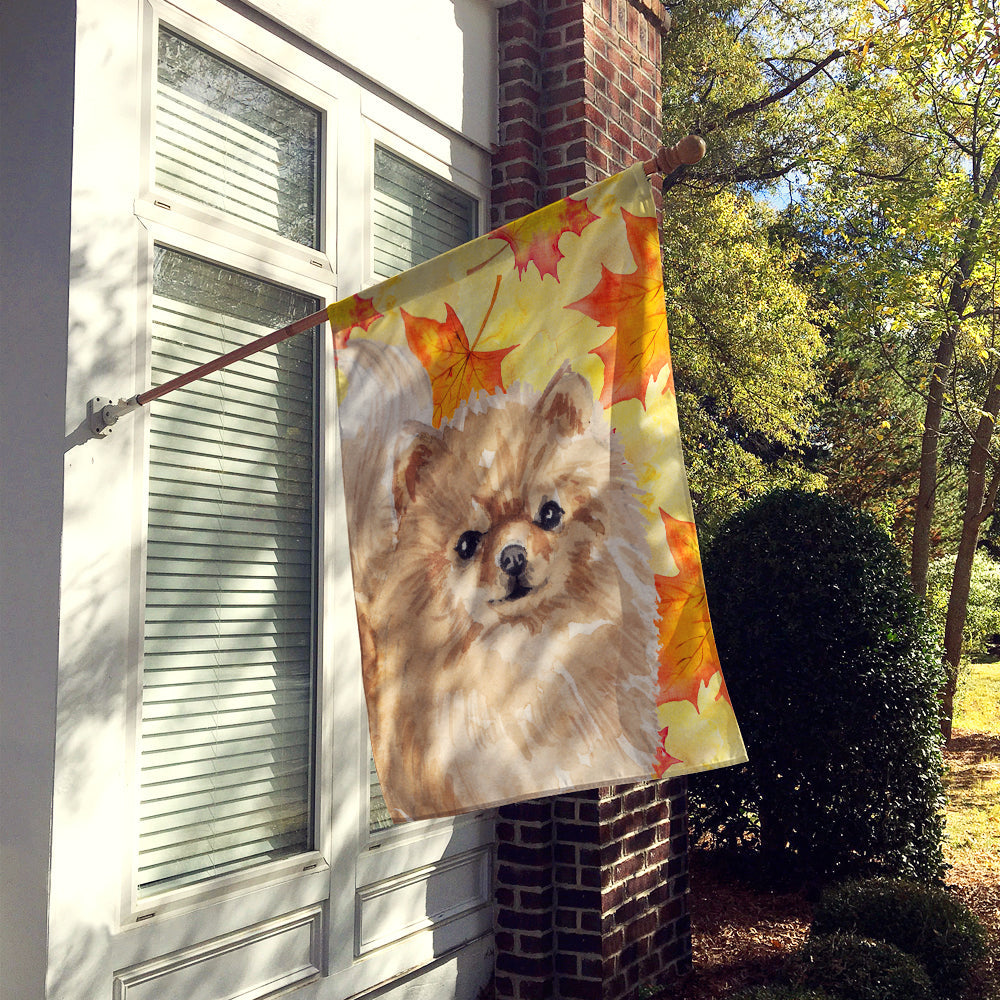 Pomeranian Fall House Flag 28x40 Porch Sleeve Pole Decorative Outside Yard Banner Artwork Wall Hanging, Polyester