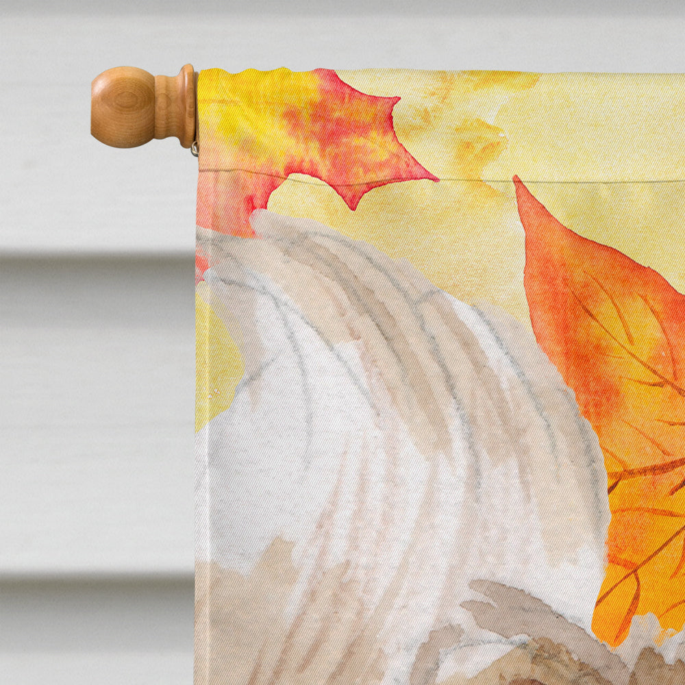 Pomeranian Fall House Flag 28x40 Porch Sleeve Pole Decorative Outside Yard Banner Artwork Wall Hanging, Polyester