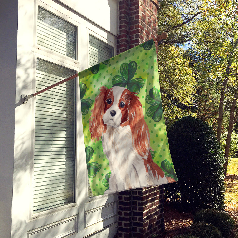 Blenheim Cavalier Spaniel St. Patrick's House Flag 28x40 Porch Sleeve Pole Decorative Outside Yard Banner Artwork Wall Hanging, Polyester