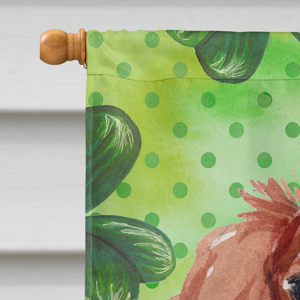 Blenheim Cavalier Spaniel St. Patrick's House Flag 28x40 Porch Sleeve Pole Decorative Outside Yard Banner Artwork Wall Hanging, Polyester