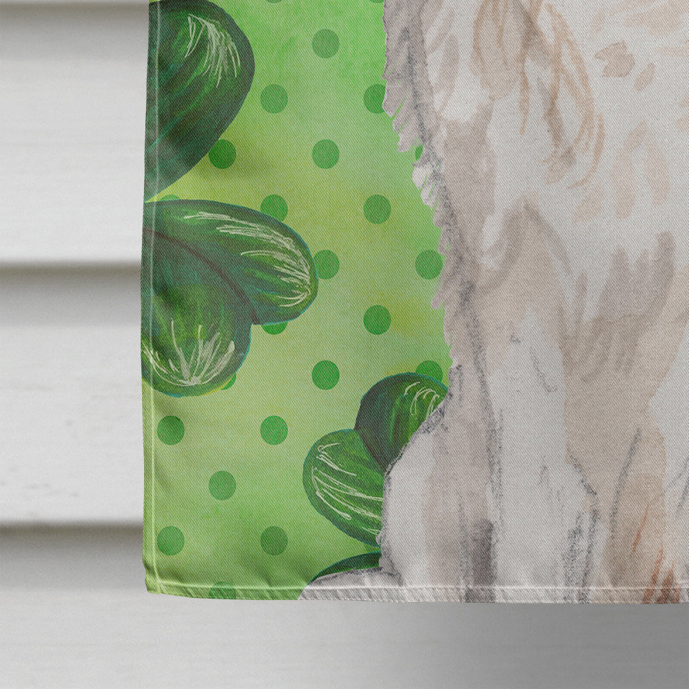 Blenheim Cavalier Spaniel St. Patrick's House Flag 28x40 Porch Sleeve Pole Decorative Outside Yard Banner Artwork Wall Hanging, Polyester