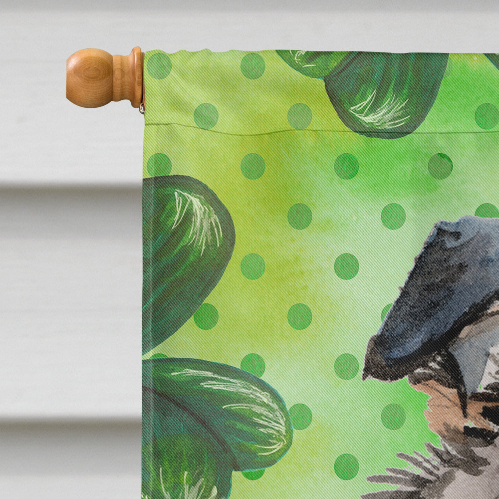 Australian Shepherd St. Patrick's House Flag 28x40 Porch Sleeve Pole Decorative Outside Yard Banner Artwork Wall Hanging, Polyester