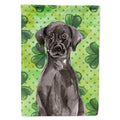 Black Labrador St. Patrick's House Flag 28x40 Porch Sleeve Pole Decorative Outside Yard Banner Artwork Wall Hanging, Polyester
