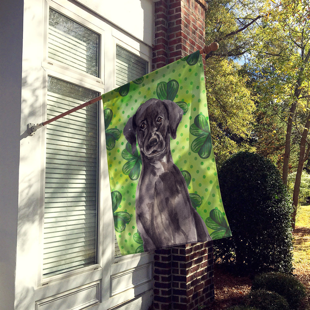 Black Labrador St. Patrick's House Flag 28x40 Porch Sleeve Pole Decorative Outside Yard Banner Artwork Wall Hanging, Polyester