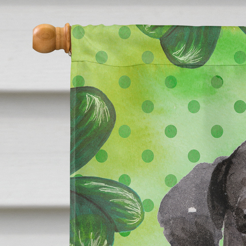 Black Labrador St. Patrick's House Flag 28x40 Porch Sleeve Pole Decorative Outside Yard Banner Artwork Wall Hanging, Polyester