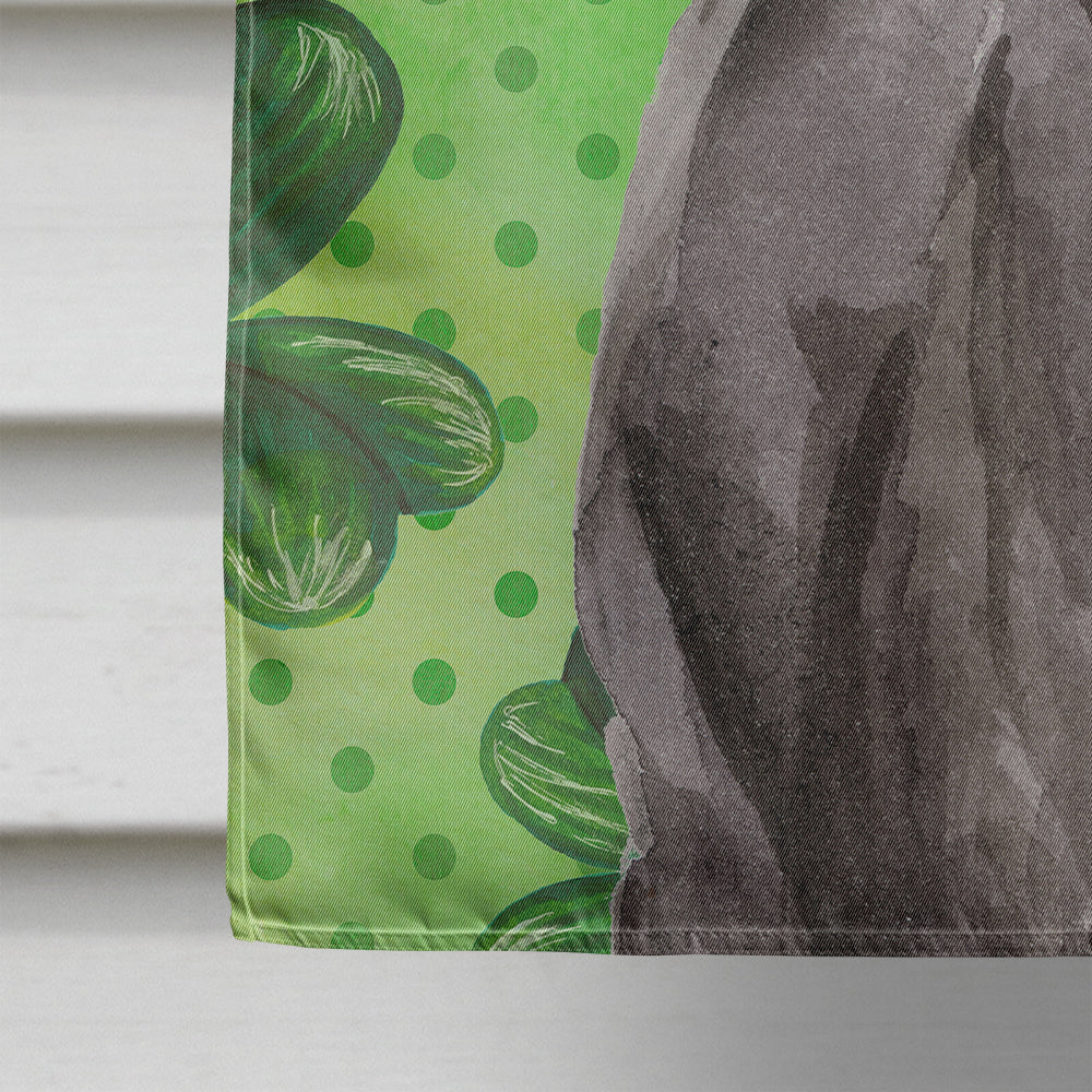 Black Labrador St. Patrick's House Flag 28x40 Porch Sleeve Pole Decorative Outside Yard Banner Artwork Wall Hanging, Polyester