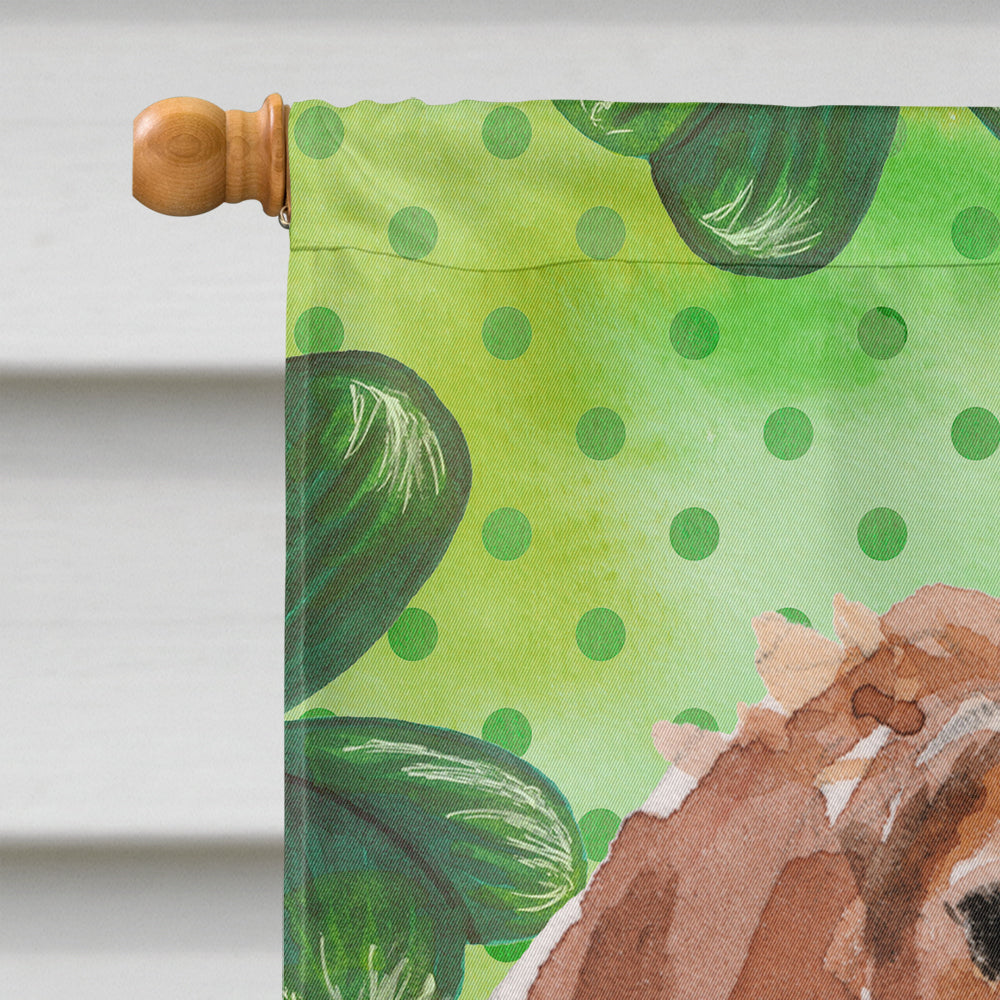 Brittany Spaniel St. Patrick's House Flag 28x40 Porch Sleeve Pole Decorative Outside Yard Banner Artwork Wall Hanging, Polyester