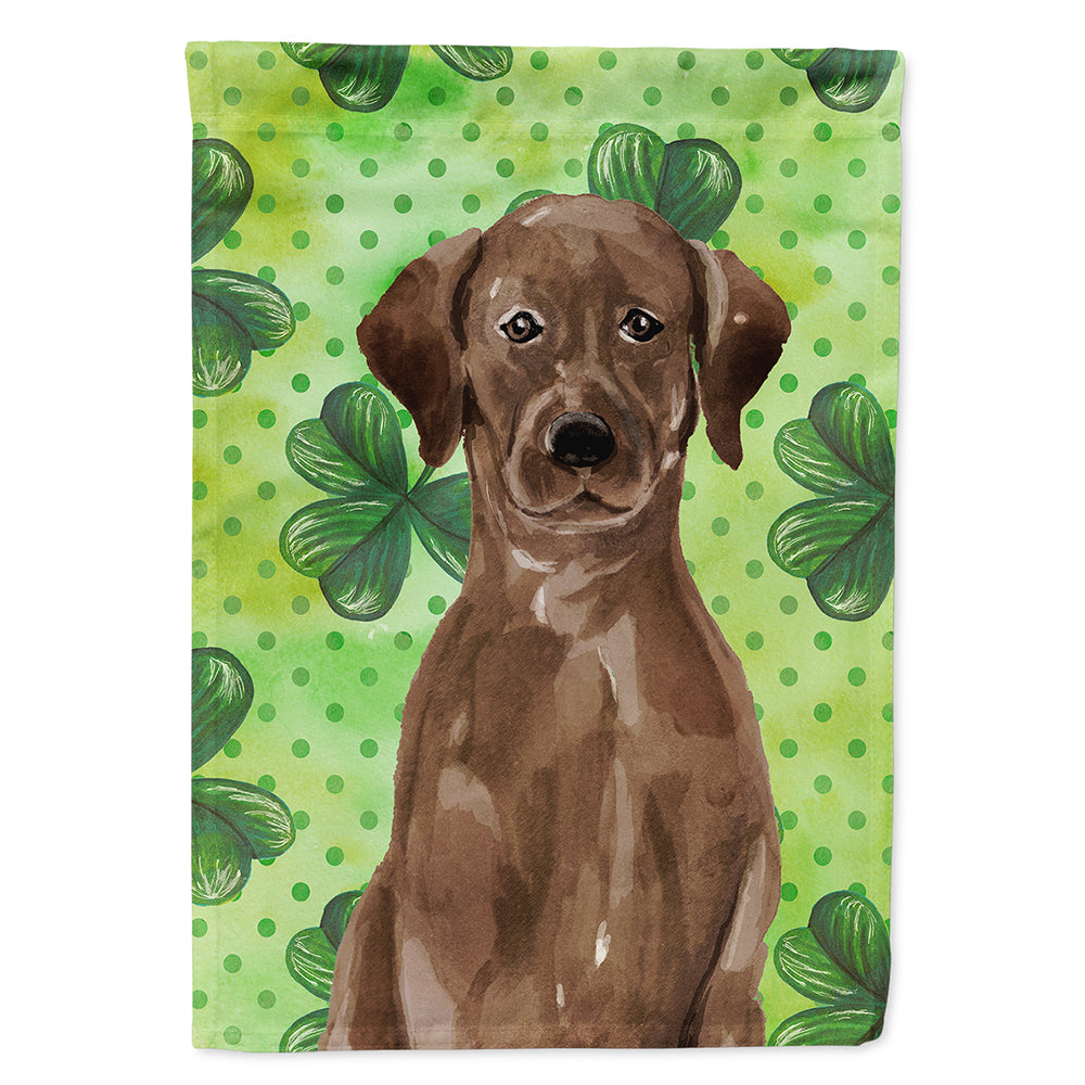 Chocolate Labrador St. Patrick's House Flag 28x40 Porch Sleeve Pole Decorative Outside Yard Banner Artwork Wall Hanging, Polyester