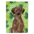 Chocolate Labrador St. Patrick's House Flag 28x40 Porch Sleeve Pole Decorative Outside Yard Banner Artwork Wall Hanging, Polyester