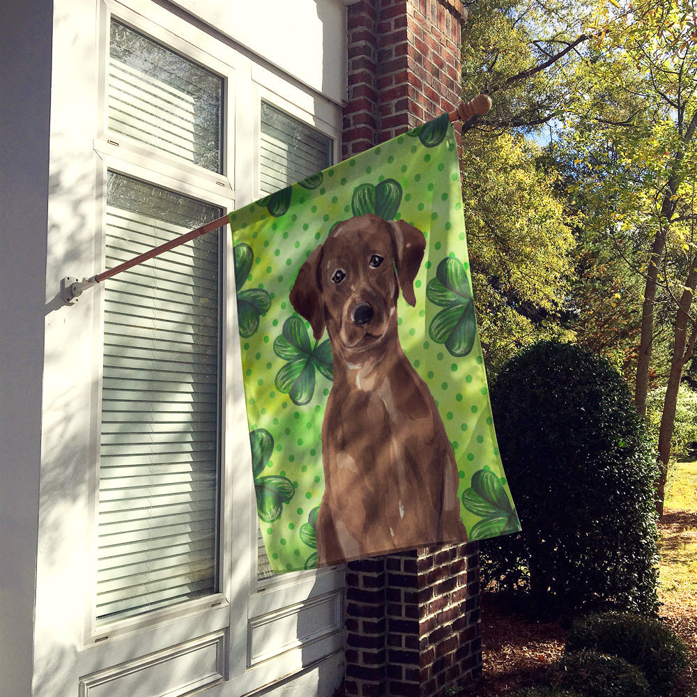 Chocolate Labrador St. Patrick's House Flag 28x40 Porch Sleeve Pole Decorative Outside Yard Banner Artwork Wall Hanging, Polyester