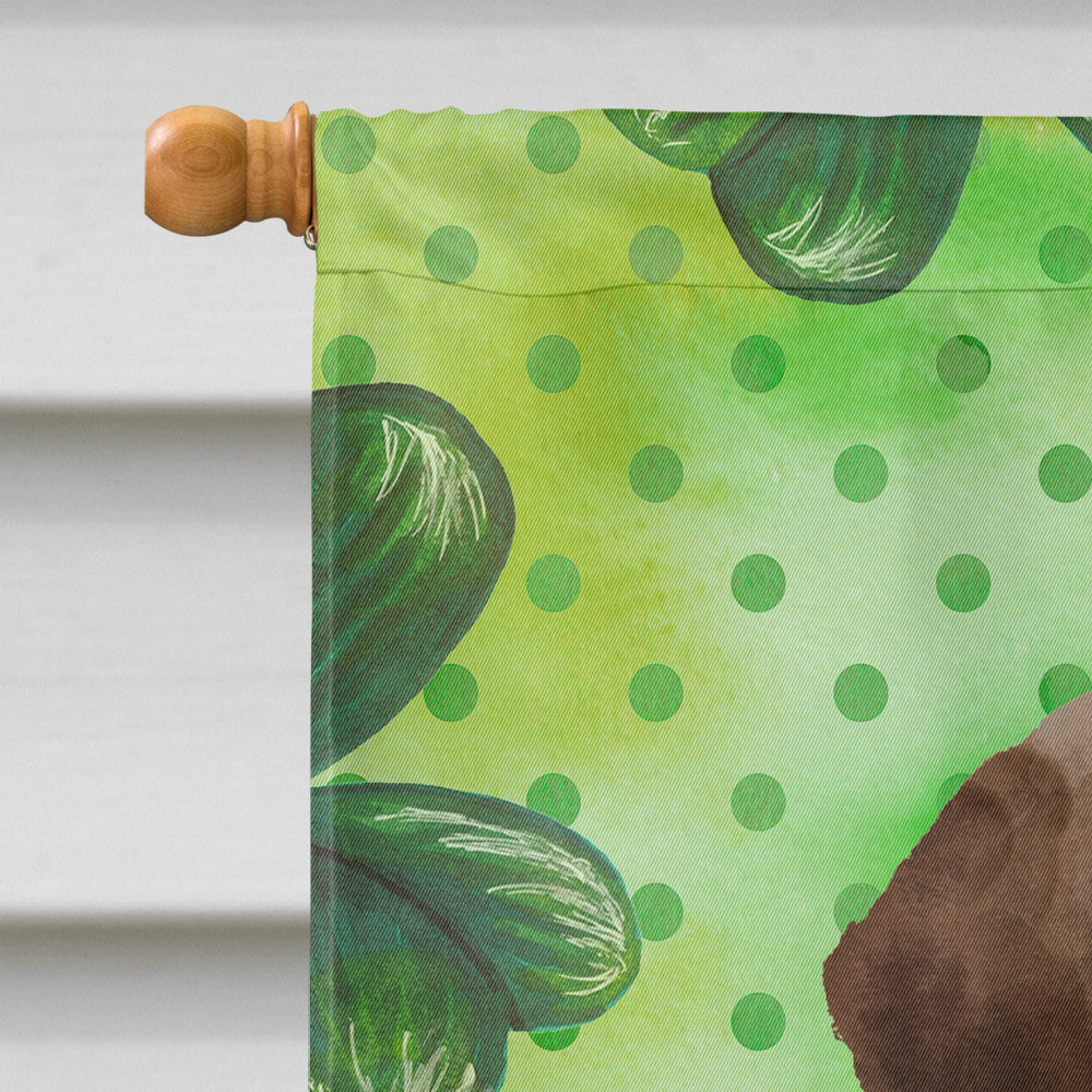Chocolate Labrador St. Patrick's House Flag 28x40 Porch Sleeve Pole Decorative Outside Yard Banner Artwork Wall Hanging, Polyester