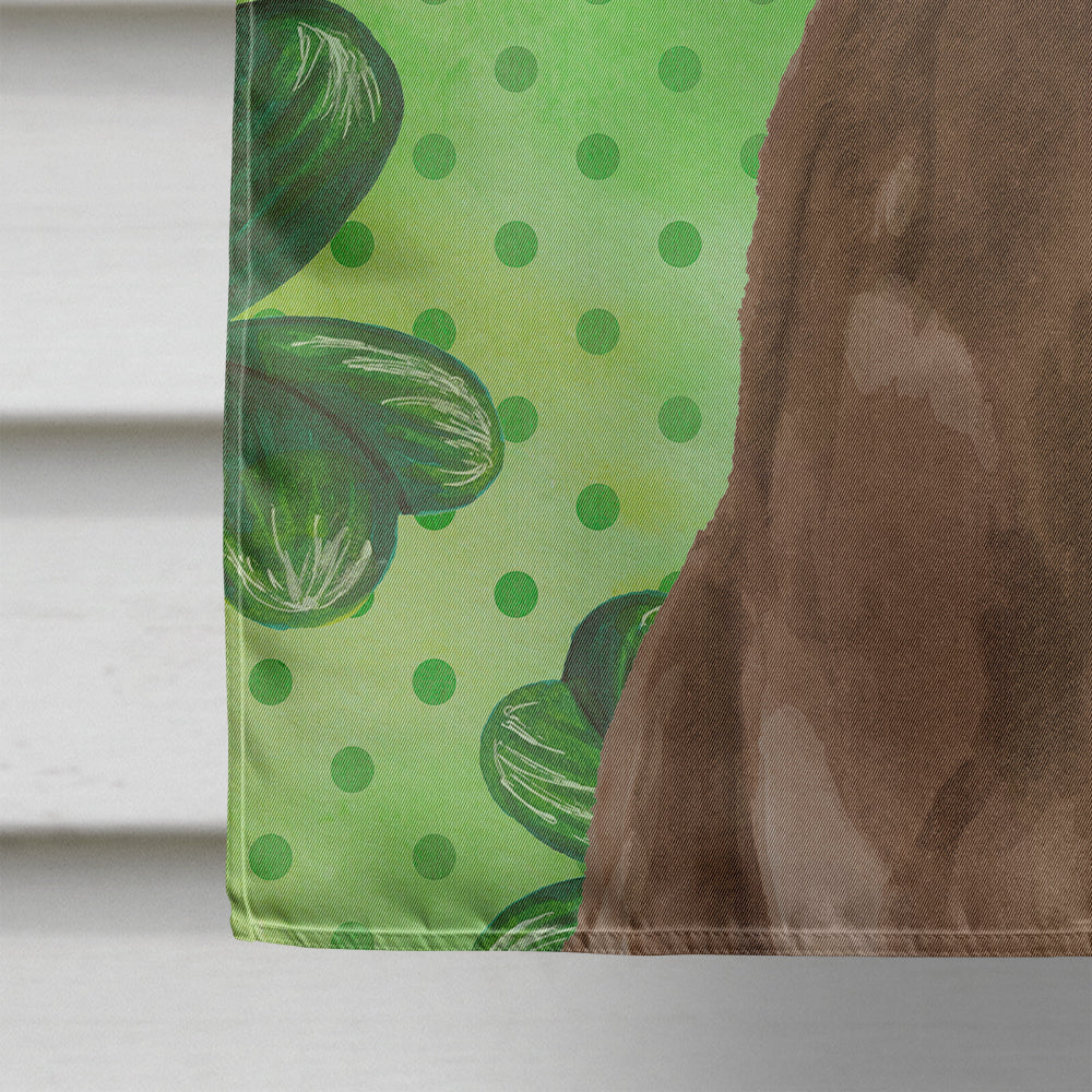 Chocolate Labrador St. Patrick's House Flag 28x40 Porch Sleeve Pole Decorative Outside Yard Banner Artwork Wall Hanging, Polyester