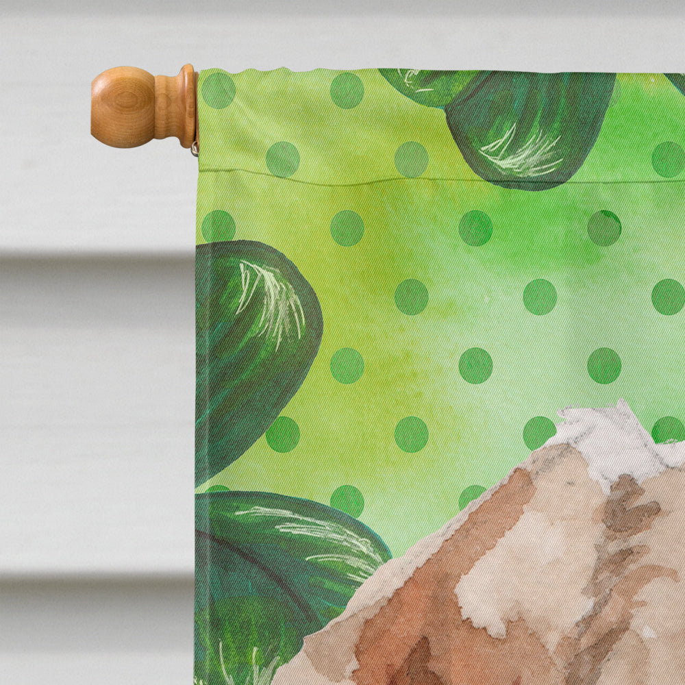 Wire Hair Jack Russell St. Patrick's House Flag 28x40 Porch Sleeve Pole Decorative Outside Yard Banner Artwork Wall Hanging, Polyester
