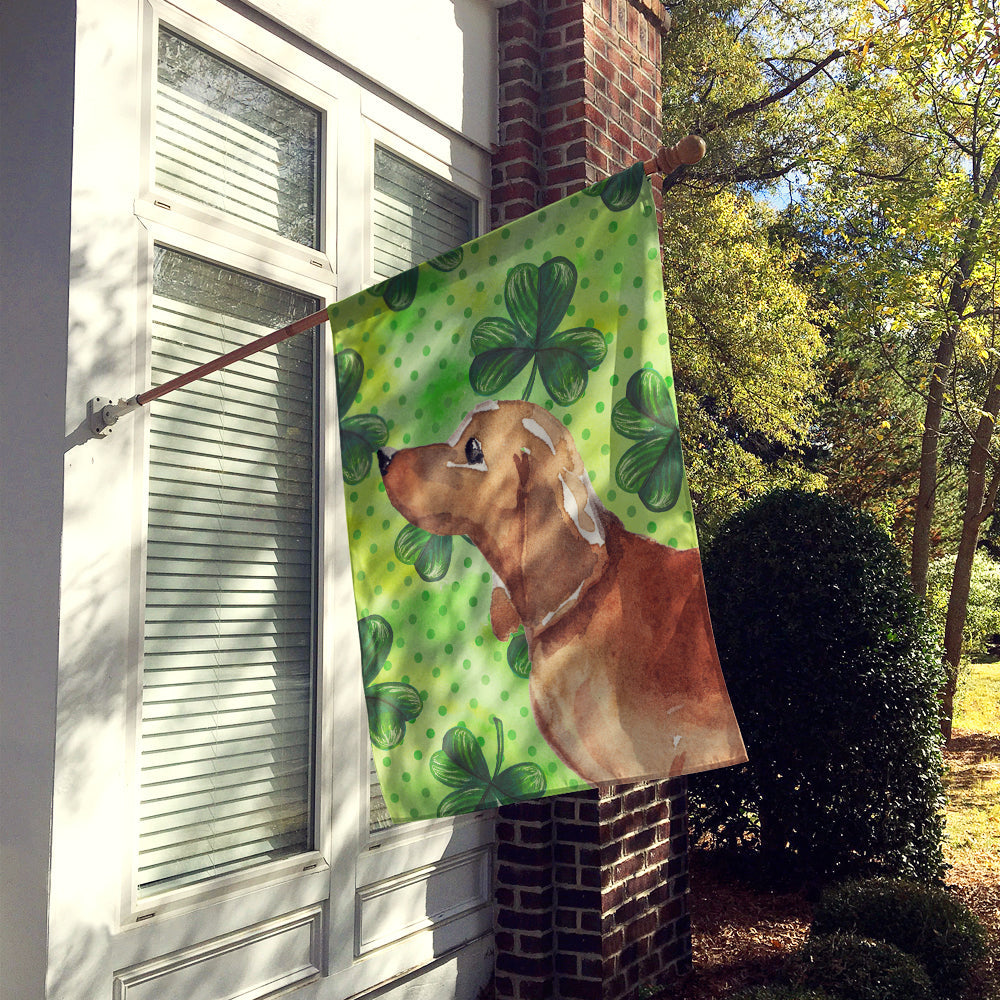 Red Tan Dachshund St. Patrick's House Flag 28x40 Porch Sleeve Pole Decorative Outside Yard Banner Artwork Wall Hanging, Polyester