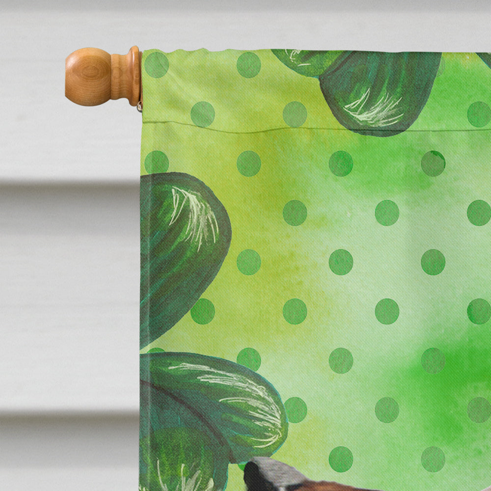 Red Tan Dachshund St. Patrick's House Flag 28x40 Porch Sleeve Pole Decorative Outside Yard Banner Artwork Wall Hanging, Polyester