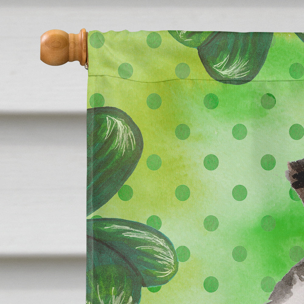 Border Collie St. Patrick's House Flag 28x40 Porch Sleeve Pole Decorative Outside Yard Banner Artwork Wall Hanging, Polyester