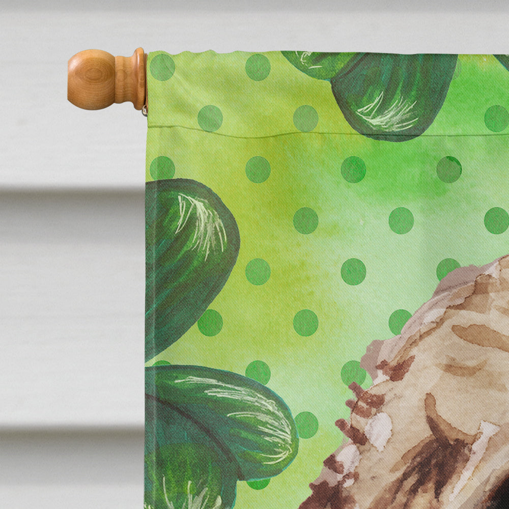 Brown Cockapoo St. Patrick's House Flag 28x40 Porch Sleeve Pole Decorative Outside Yard Banner Artwork Wall Hanging, Polyester