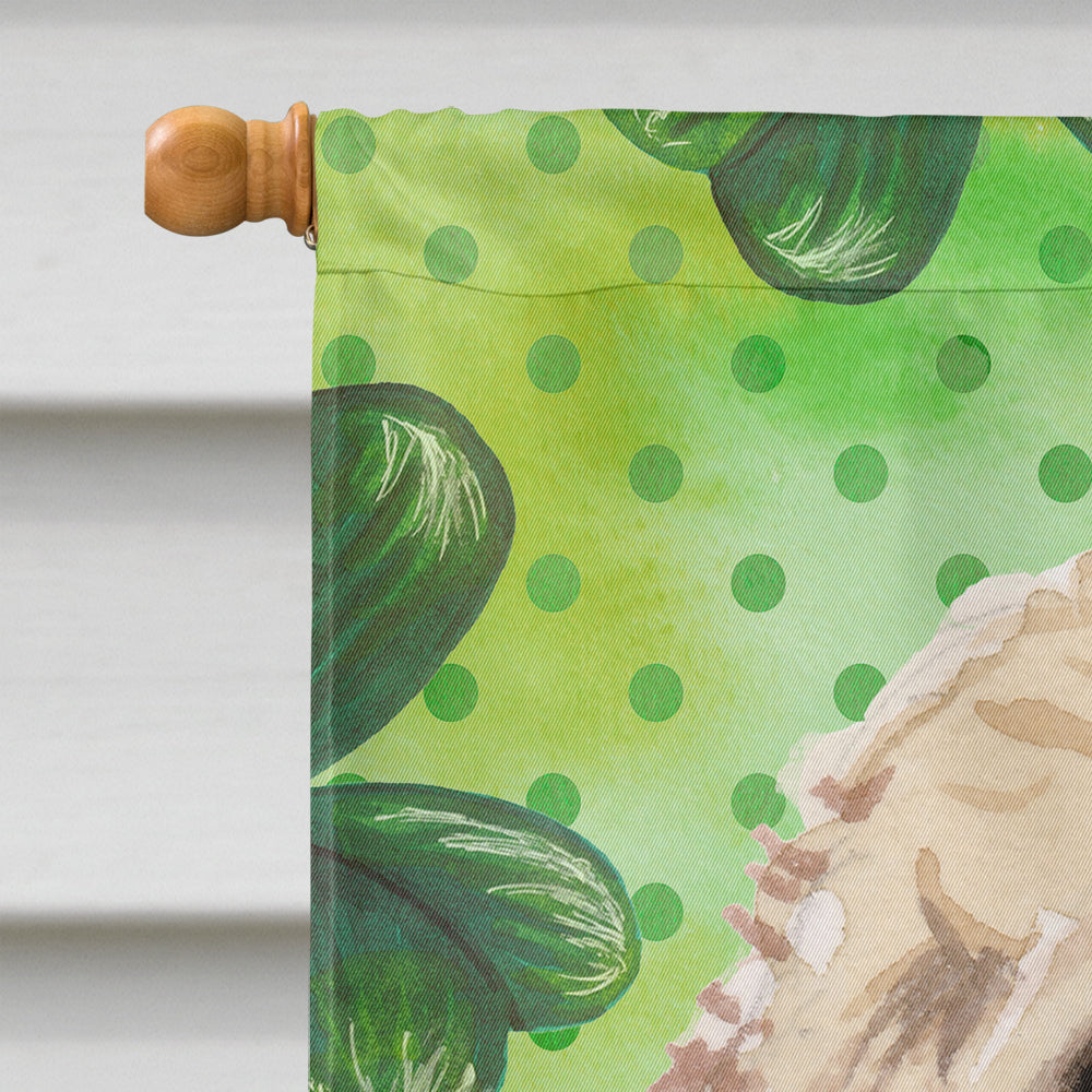 Champagne Cockapoo St. Patrick's House Flag 28x40 Porch Sleeve Pole Decorative Outside Yard Banner Artwork Wall Hanging, Polyester
