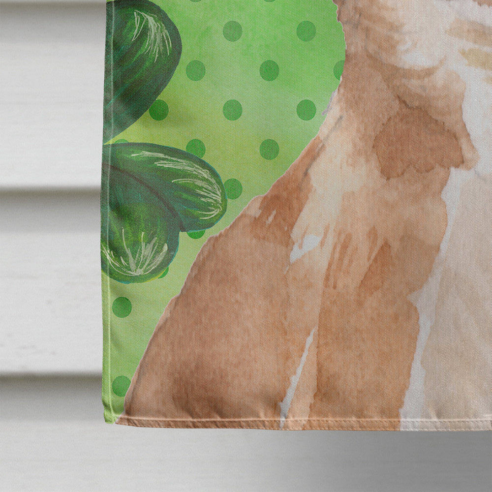 Chihuahua St. Patrick's House Flag 28x40 Porch Sleeve Pole Decorative Outside Yard Banner Artwork Wall Hanging, Polyester