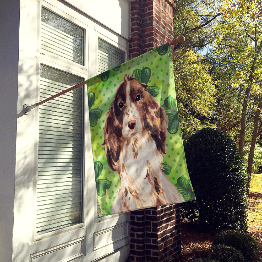 Brown Parti St. Patrick's House Flag 28x40 Porch Sleeve Pole Decorative Outside Yard Banner Artwork Wall Hanging, Polyester