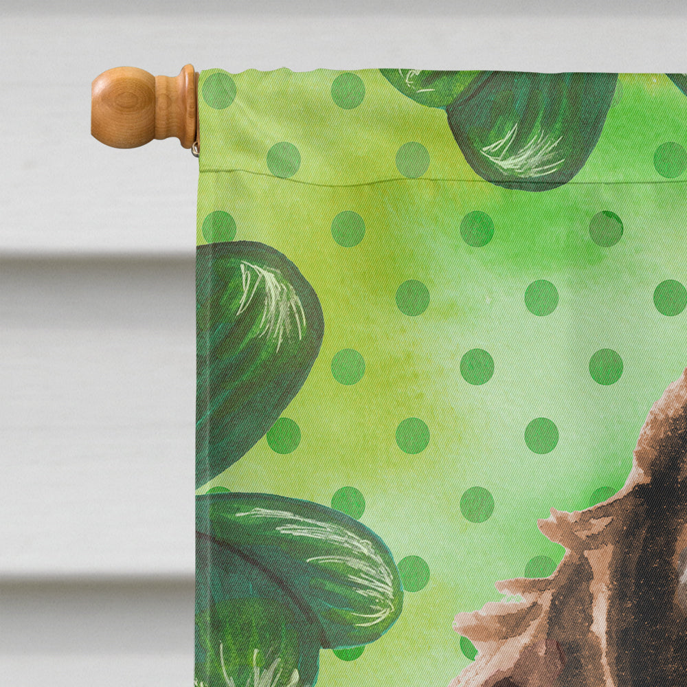 Brown Parti St. Patrick's House Flag 28x40 Porch Sleeve Pole Decorative Outside Yard Banner Artwork Wall Hanging, Polyester