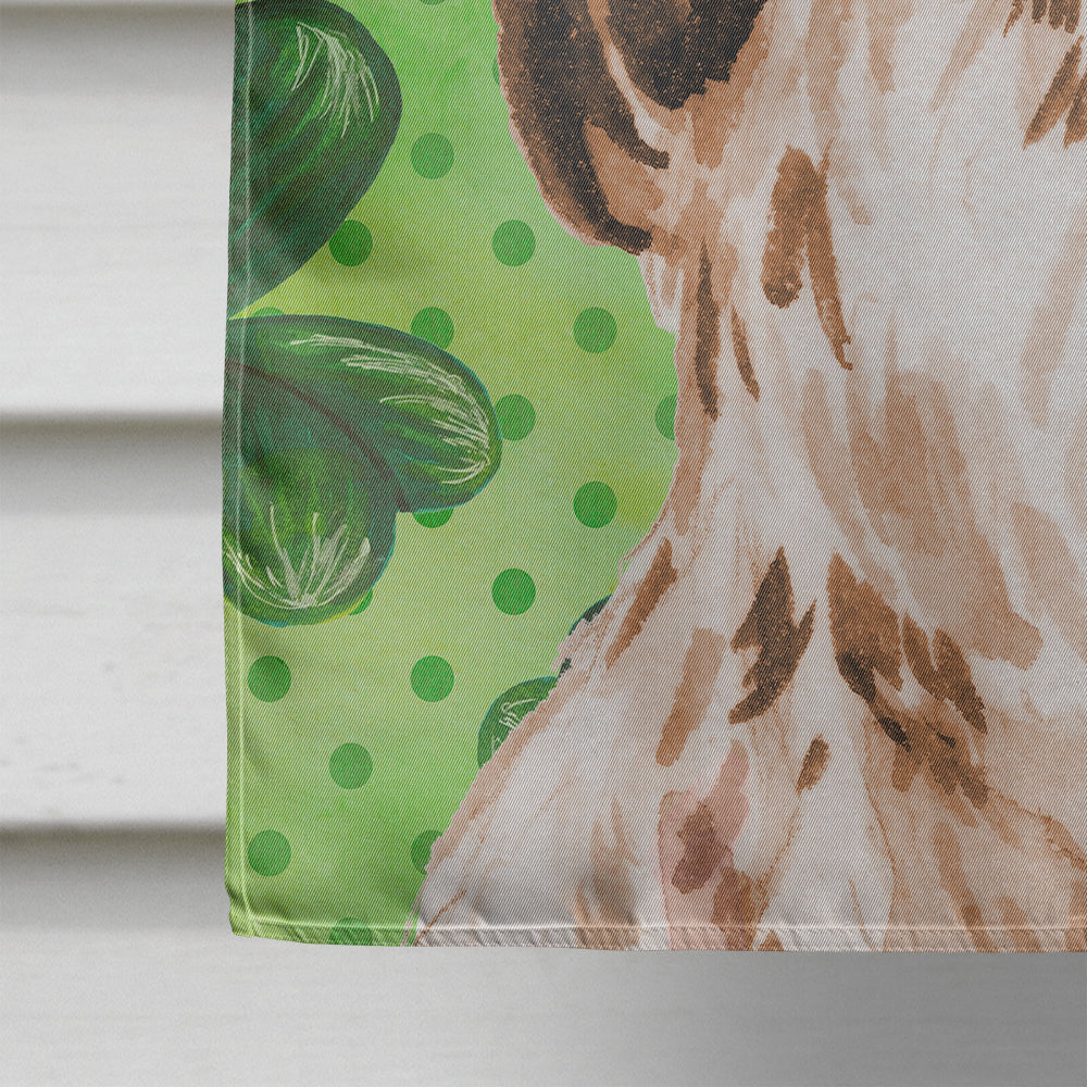 Brown Parti St. Patrick's House Flag 28x40 Porch Sleeve Pole Decorative Outside Yard Banner Artwork Wall Hanging, Polyester