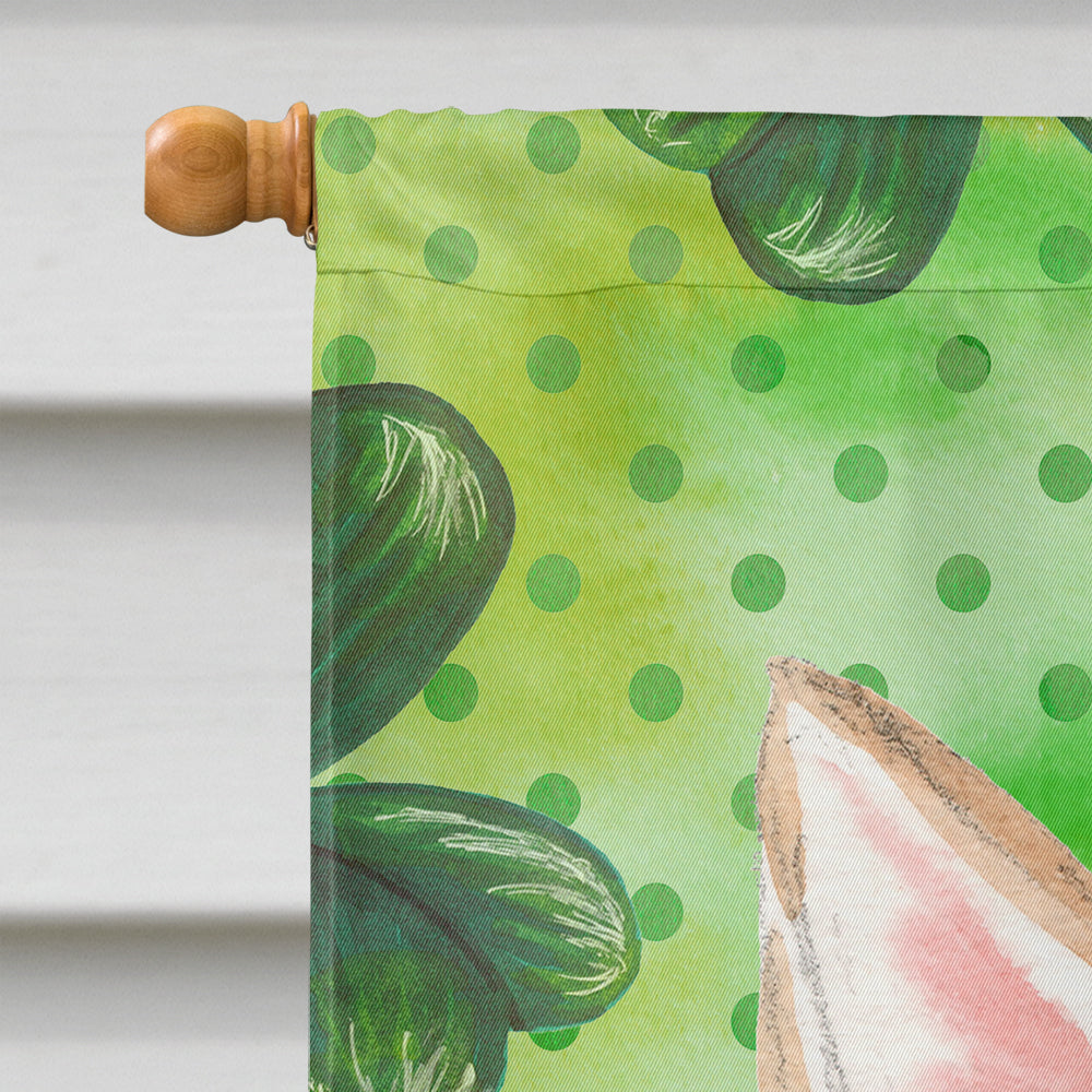 Corgi St. Patrick's House Flag 28x40 Porch Sleeve Pole Decorative Outside Yard Banner Artwork Wall Hanging, Polyester