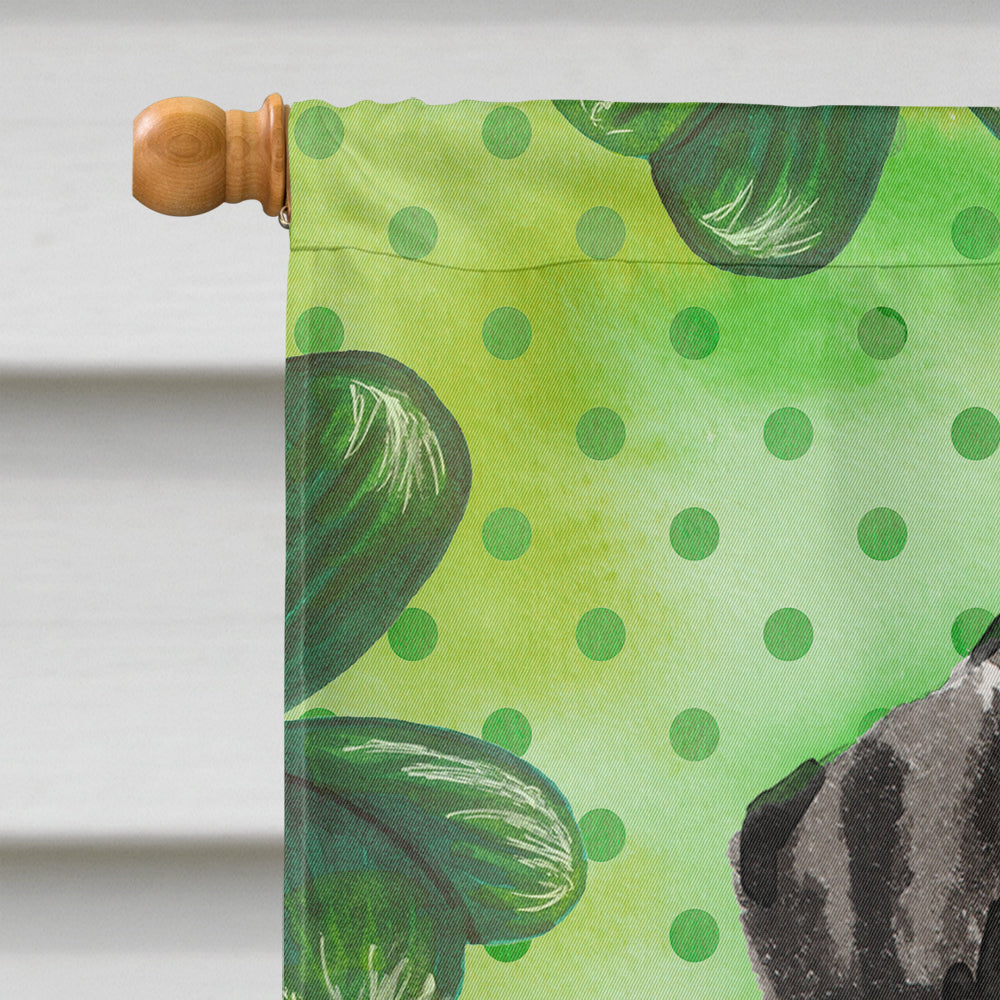 Dalmatian St. Patrick's House Flag 28x40 Porch Sleeve Pole Decorative Outside Yard Banner Artwork Wall Hanging, Polyester
