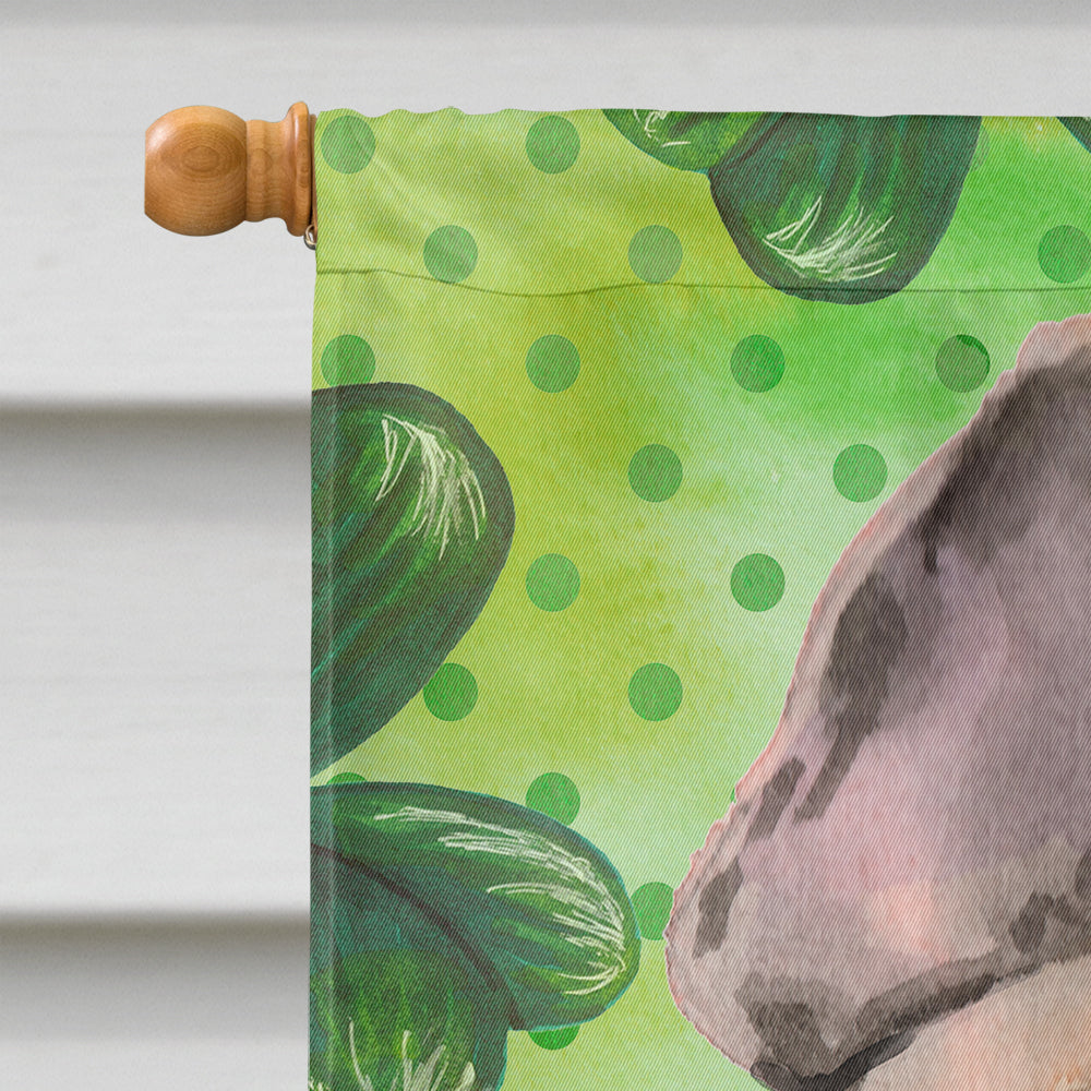 Fawn French Bulldog St. Patrick's House Flag 28x40 Porch Sleeve Pole Decorative Outside Yard Banner Artwork Wall Hanging, Polyester
