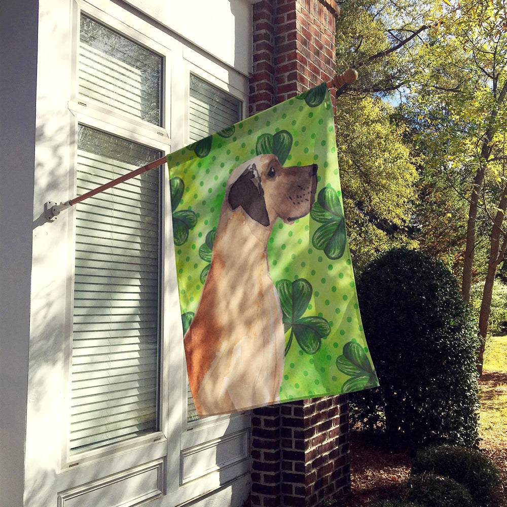 Fawn Natural Great Dane St. Patrick's House Flag 28x40 Porch Sleeve Pole Decorative Outside Yard Banner Artwork Wall Hanging, Polyester