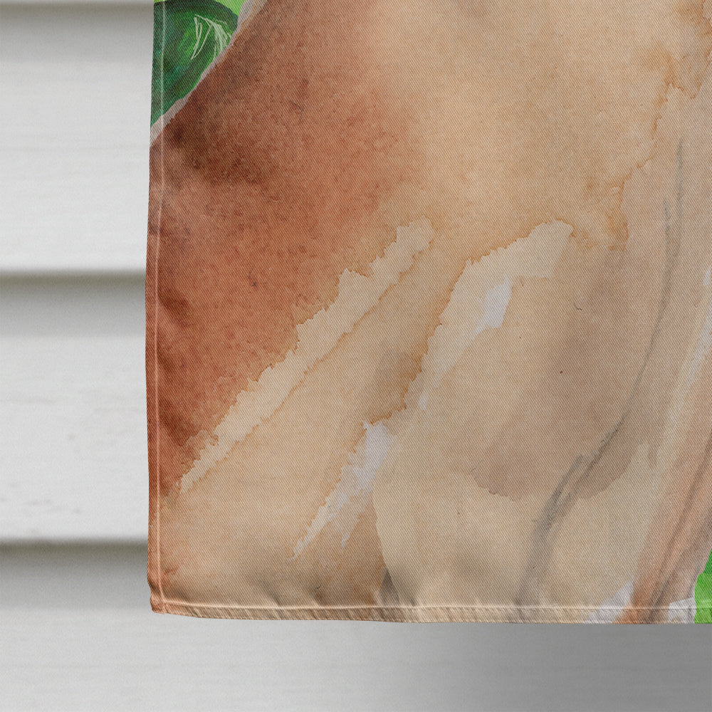 Fawn Natural Great Dane St. Patrick's House Flag 28x40 Porch Sleeve Pole Decorative Outside Yard Banner Artwork Wall Hanging, Polyester