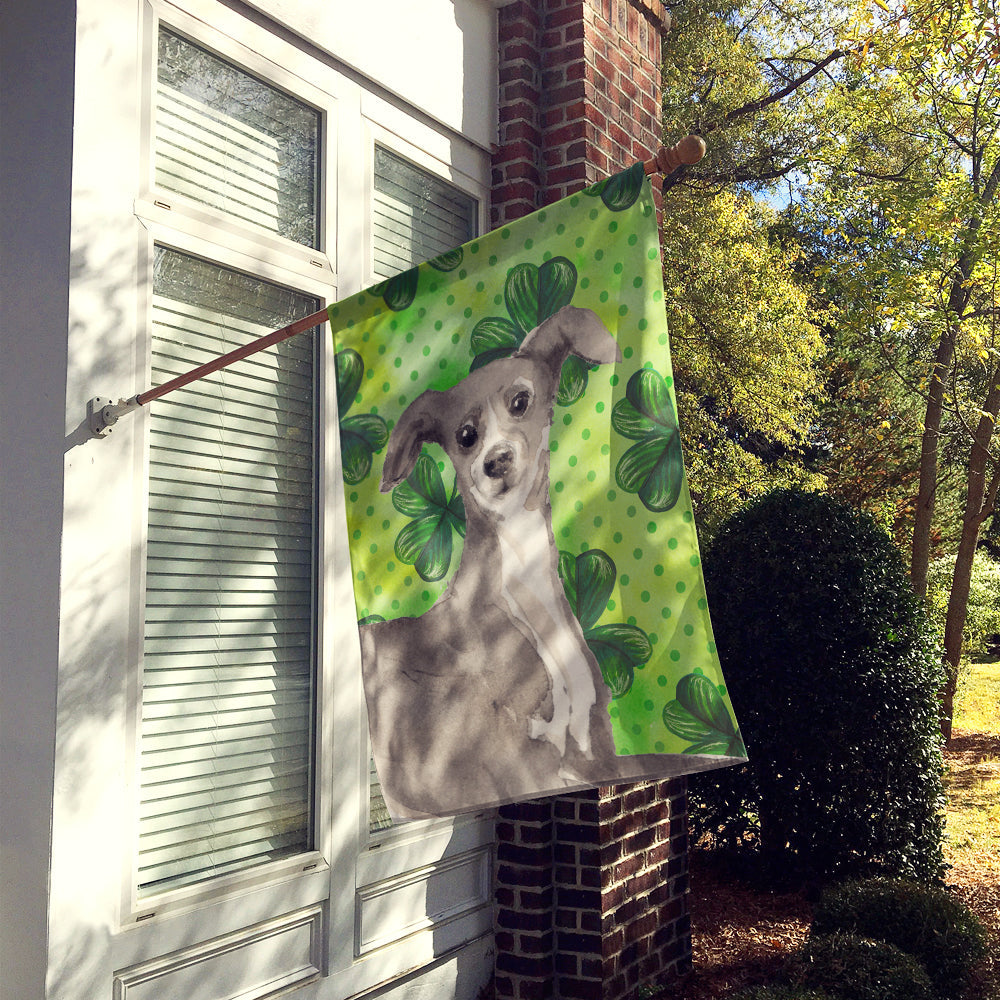 Italian Greyhound St. Patrick's House Flag 28x40 Porch Sleeve Pole Decorative Outside Yard Banner Artwork Wall Hanging, Polyester