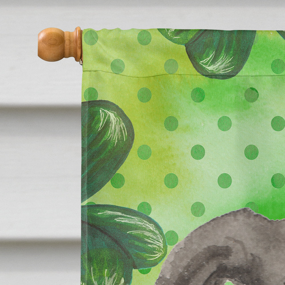 Italian Greyhound St. Patrick's House Flag 28x40 Porch Sleeve Pole Decorative Outside Yard Banner Artwork Wall Hanging, Polyester