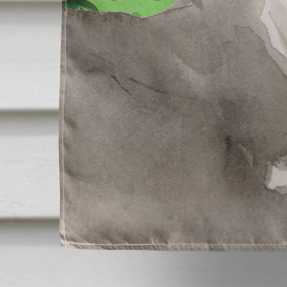 Italian Greyhound St. Patrick's House Flag 28x40 Porch Sleeve Pole Decorative Outside Yard Banner Artwork Wall Hanging, Polyester