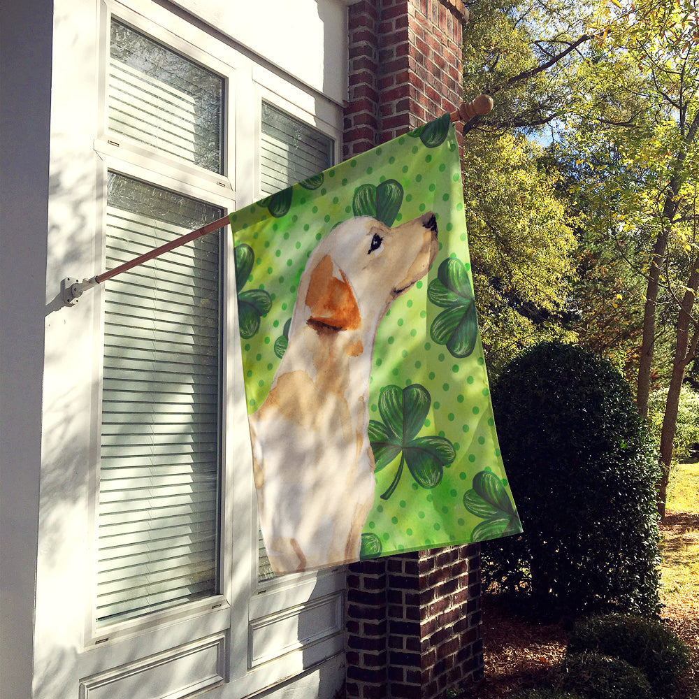 Yellow Labrador #2 St. Patrick's House Flag 28x40 Porch Sleeve Pole Decorative Outside Yard Banner Artwork Wall Hanging, Polyester