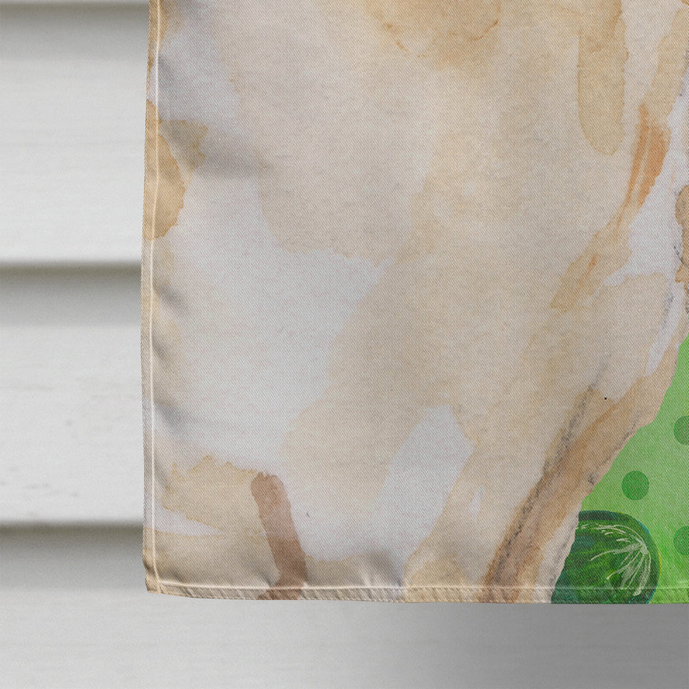 Yellow Labrador #2 St. Patrick's House Flag 28x40 Porch Sleeve Pole Decorative Outside Yard Banner Artwork Wall Hanging, Polyester