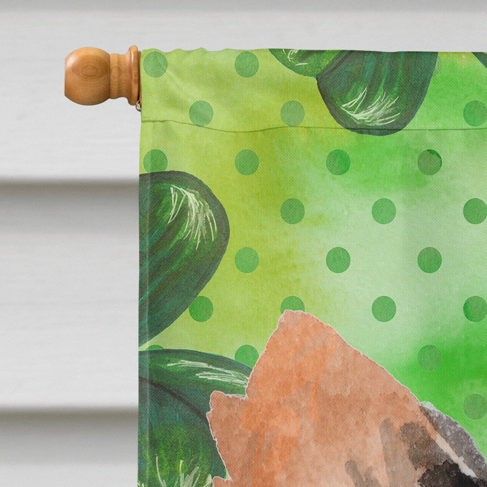 Long Haired Chihuahua St. Patrick's House Flag 28x40 Porch Sleeve Pole Decorative Outside Yard Banner Artwork Wall Hanging, Polyester