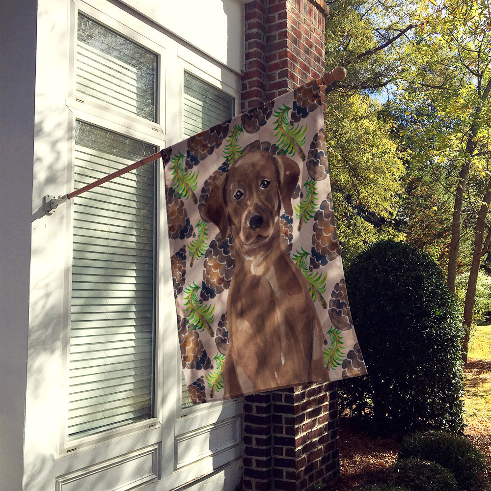 Chocolate Labrador Pine Cones House Flag 28x40 Porch Sleeve Pole Decorative Outside Yard Banner Artwork Wall Hanging, Polyester