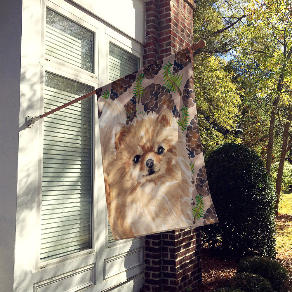 Pomeranian Pine Cones House Flag 28x40 Porch Sleeve Pole Decorative Outside Yard Banner Artwork Wall Hanging, Polyester