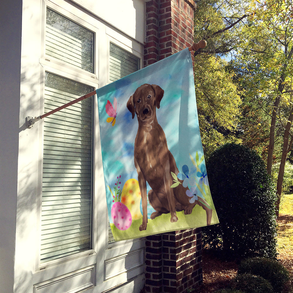 Chocolate Labrador Easter House Flag 28x40 Porch Sleeve Pole Decorative Outside Yard Banner Artwork Wall Hanging, Polyester