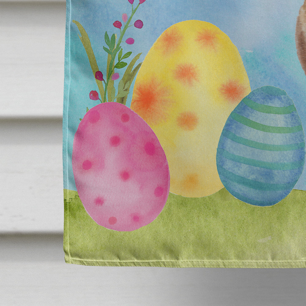 Red Tan Dachshund Easter House Flag 28x40 Porch Sleeve Pole Decorative Outside Yard Banner Artwork Wall Hanging, Polyester