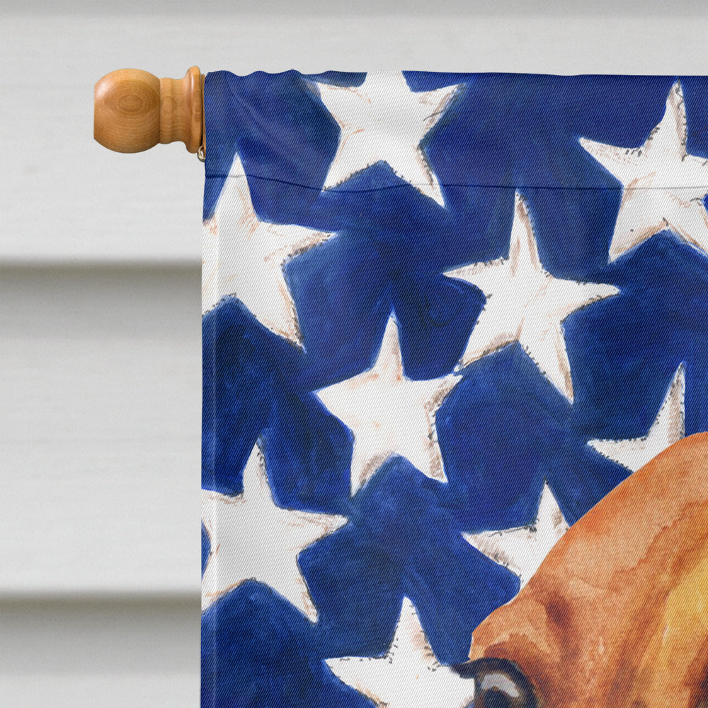 Dachshund Patriotic House Flag 28x40 Porch Sleeve Pole Decorative Outside Yard Banner Artwork Wall Hanging, Polyester