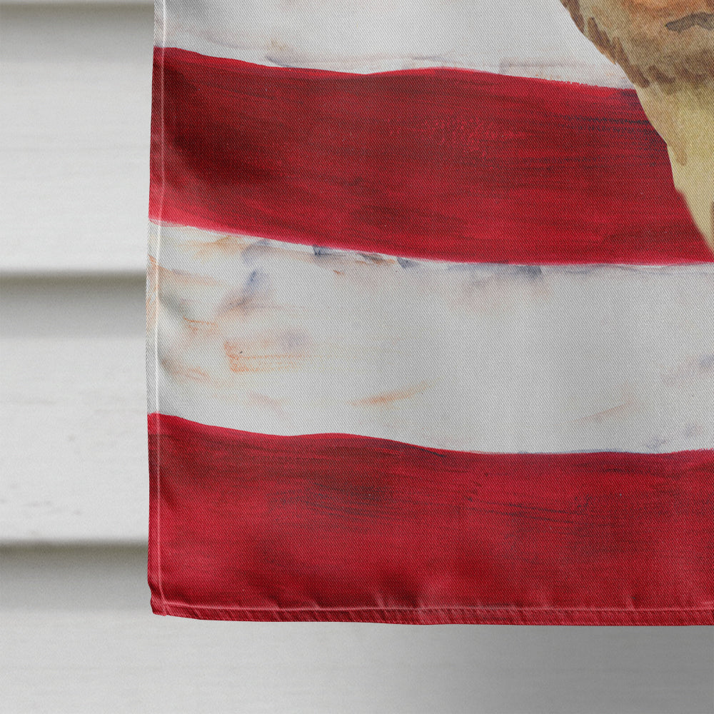 Dachshund Patriotic House Flag 28x40 Porch Sleeve Pole Decorative Outside Yard Banner Artwork Wall Hanging, Polyester