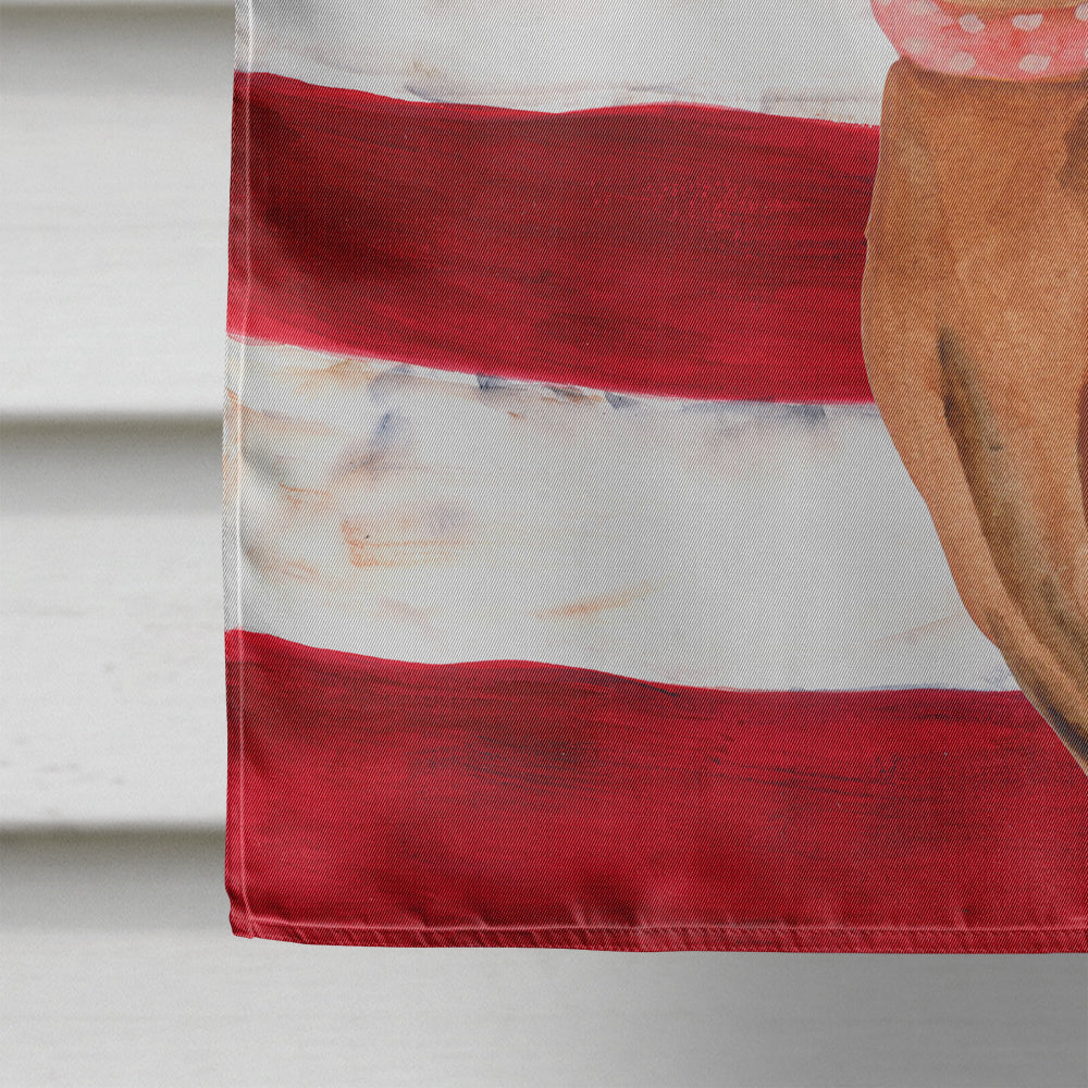 Miniature Pinscher Patriotic House Flag 28x40 Porch Sleeve Pole Decorative Outside Yard Banner Artwork Wall Hanging, Polyester