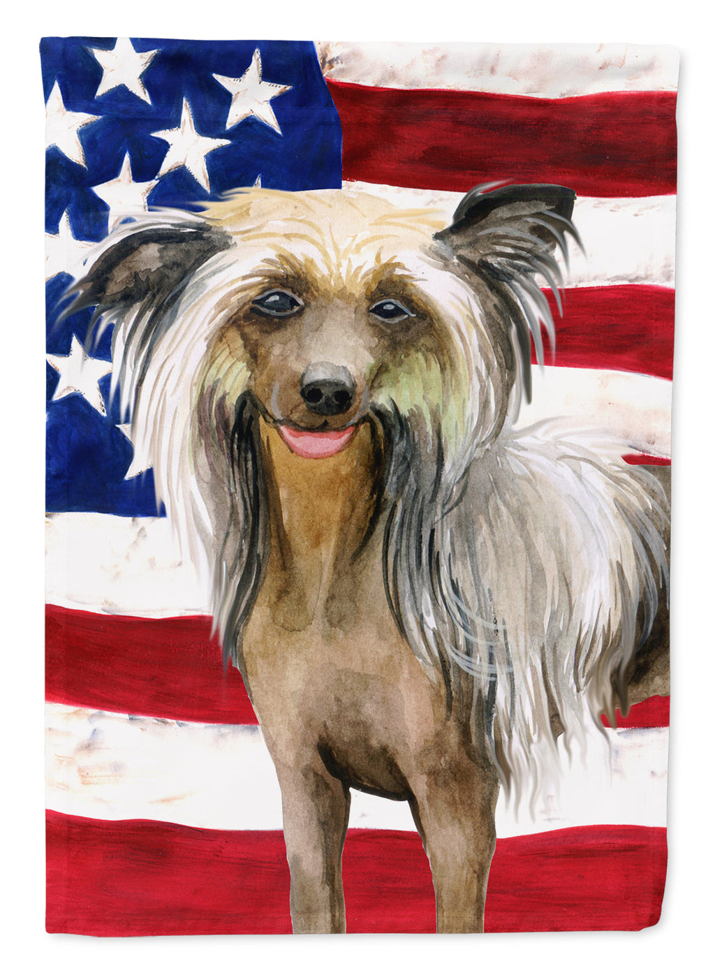 Chinese Crested Patriotic House Flag 28x40 Porch Sleeve Pole Decorative Outside Yard Banner Artwork Wall Hanging, Polyester