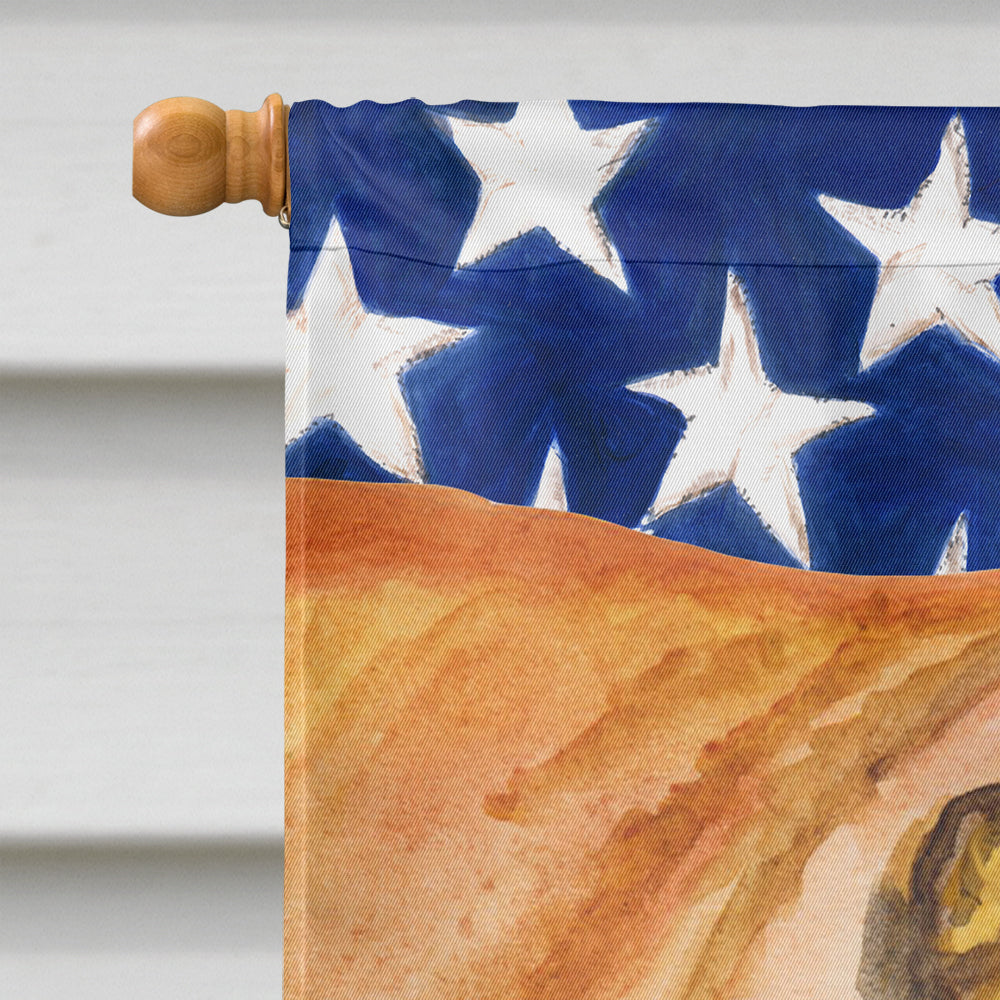 Shar Pei Patriotic House Flag 28x40 Porch Sleeve Pole Decorative Outside Yard Banner Artwork Wall Hanging, Polyester