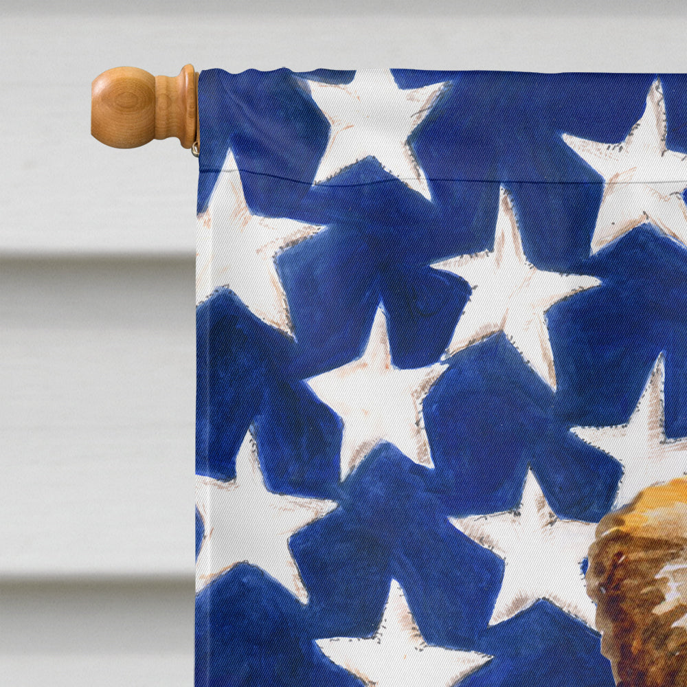 Small Brabant Griffon Patriotic House Flag 28x40 Porch Sleeve Pole Decorative Outside Yard Banner Artwork Wall Hanging, Polyester