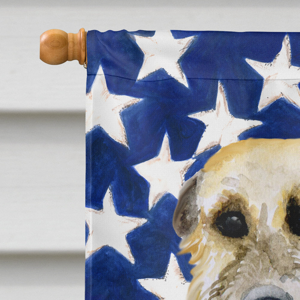 Irish Wolfhound Patriotic House Flag 28x40 Porch Sleeve Pole Decorative Outside Yard Banner Artwork Wall Hanging, Polyester